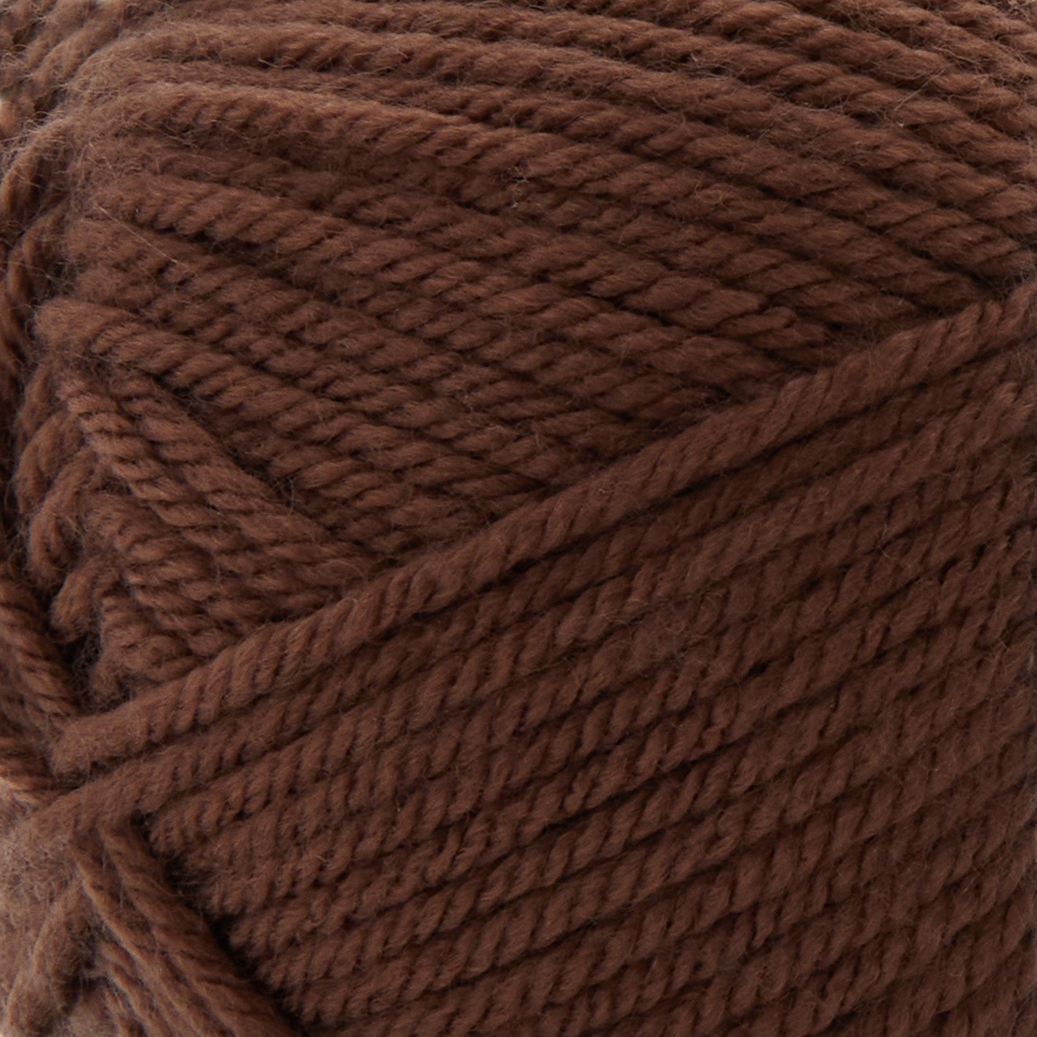 Premier Anti-Pilling Everyday Worsted Yarn